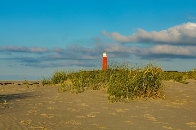 Strand Texel Leuchtturm von Tjeerd Knier