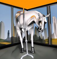 Dieren in de Stad