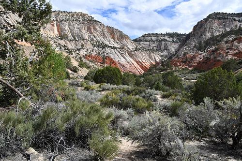 In de buurt van Zion National Park