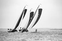 3 skutsjes, skûtsjesilen Friesland