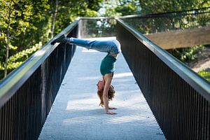 Danseuse à l'envers sur Werner Lerooy