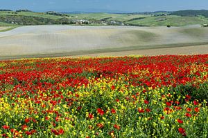 Val d`Orica en Toscane sur Walter G. Allgöwer