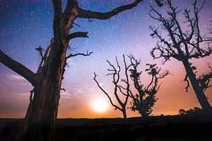 Atmosphärischer sternenklarer Himmel mit Vollmond