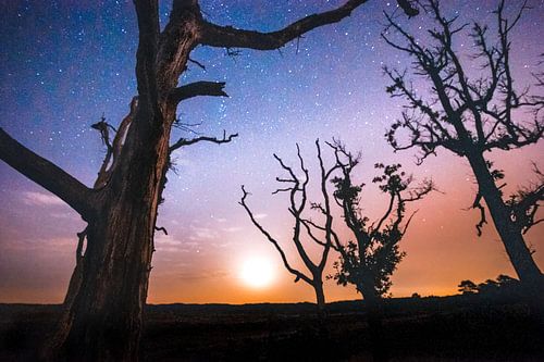 Atmospheric starry sky with full moon