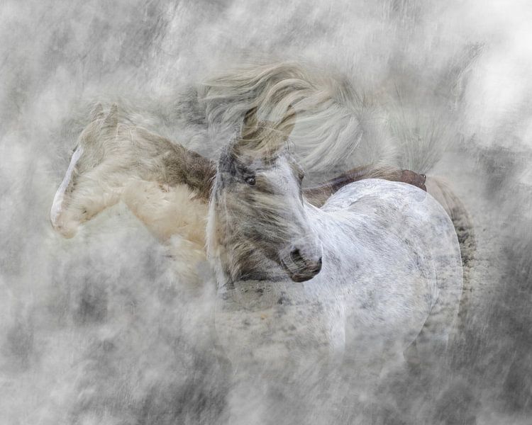 Des chevaux qui tourbillonnent par Hannie Kassenaar
