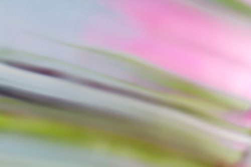 Sweet 'n Sour - abstract photo with fresh colors