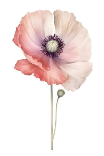 waterverf schilderij van een zacht rode bloem