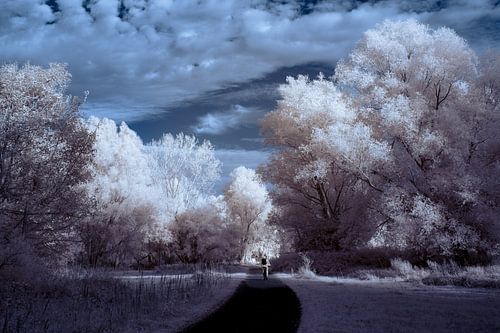 Between light and reality