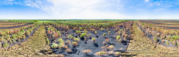Deurnsche Peel na de bosbrand  in 360° vanuit de lucht.