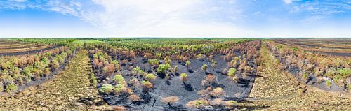 Deurnsche Peel na de bosbrand  in 360° vanuit de lucht.