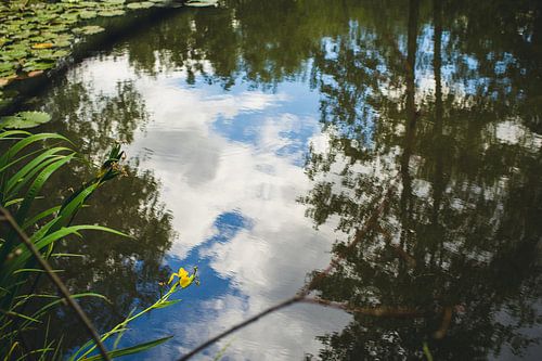 Reflet dans un étang