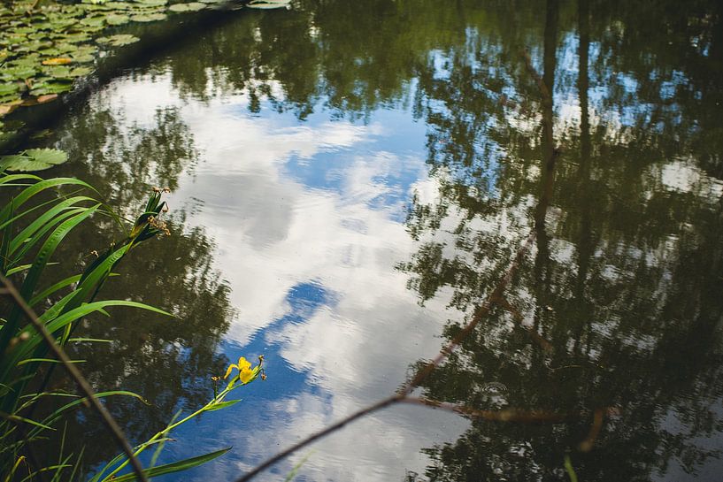 Reflection in pond by Whispering Fields Hageland