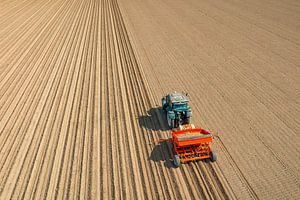 Traktor beim Einpflanzen von Kartoffelsetzlingen in den Boden während des Frühjahrs
