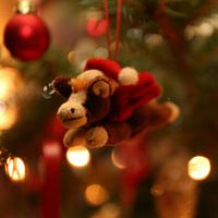 kerstpony