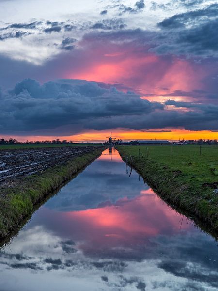 Spiegelbeeld by Tomek Kepa