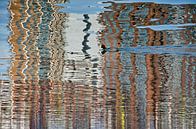 De meerkoet van de Maashaven van Frans Blok thumbnail