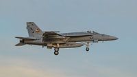 U.S. Navy Boeing F/A-18E Super Hornet from VFA-87. by Jaap van den Berg thumbnail
