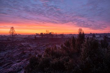 Sunrise Kootwijkerzand by Peter Haastrecht, van