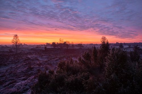 Zonsopkomst Kootwijkerzand