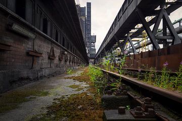 verlaten fabriek van Kristof Ven