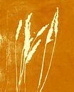 Gras in Retro-Goldgelb. Botanische Illustration. von Dina Dankers Miniaturansicht