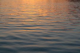 Licht opkomende zon in Kinderdijk van Ronald Wilfred Jansen