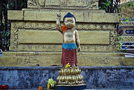 Tempel Chitwan sur Dennis Timmer