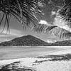 Tropen Karibik Strand schwarz-weiß von Manfred Voss, Schwarz-weiss Fotografie
