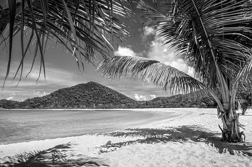 Tropisch Caribisch strand zwart-wit