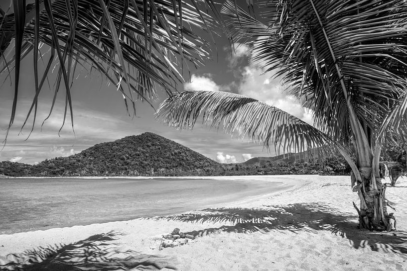 Tropical Caribbean Beach noir et blanc par Manfred Voss, Photographie Noir et Blanc