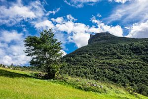 Landschaft in Norwegen von Rico Ködder