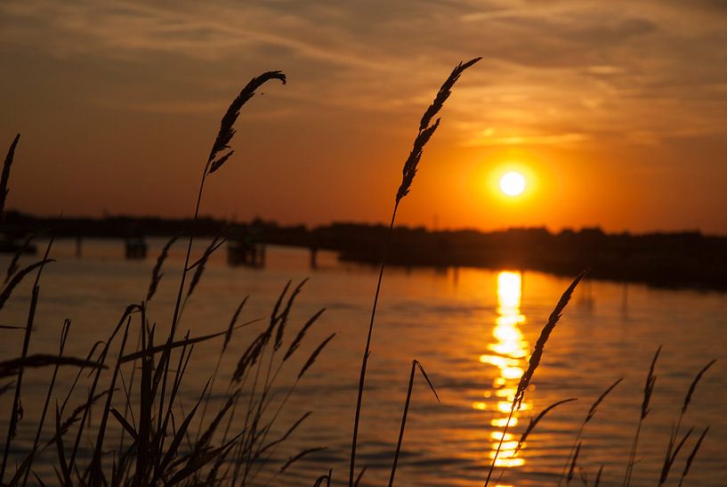 Water gold by Anco van der Kolk