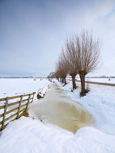 Sneeuw bedekt het polderlandschap bij Noordeloos in de winter