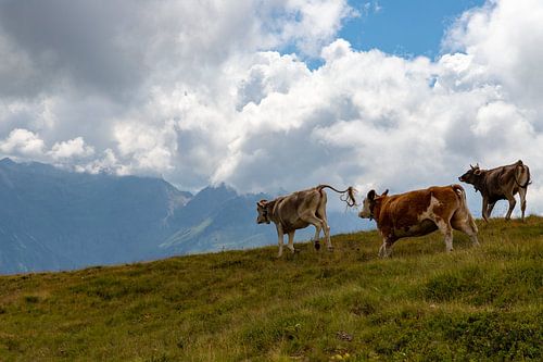 Vue de rêve sur la montagne sur Jeroen de Weerd