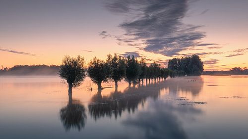 Een mooie zonsopkomst bij het herindelings- en natuurgebied Noordma in Zuidlaren in de provincie Drenthe