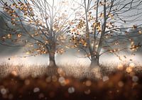 Herbstbäume