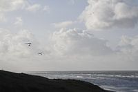 Mer, dunes et deltaplane