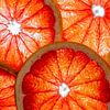 Collage van  schijfjes grapefruit met een witte achtergrond. van Carola Schellekens