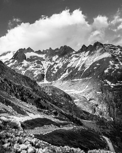 Rottengletscher von Patrick van Lion