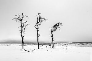 Hey, wo ist Nummer 4?