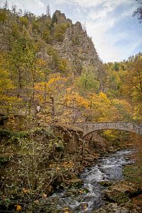 Das Bodetal im Harz