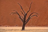 Dead Vlei, Namibia von Angelika Stern Miniaturansicht