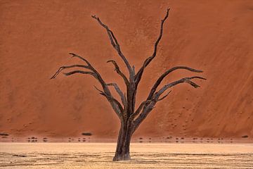 Dode Vlei, Namibië van Angelika Stern