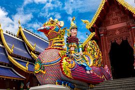 The Heavenly Knoop on the Hintha by Franklin Driessen