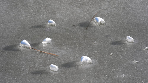White snow formations on dark ice