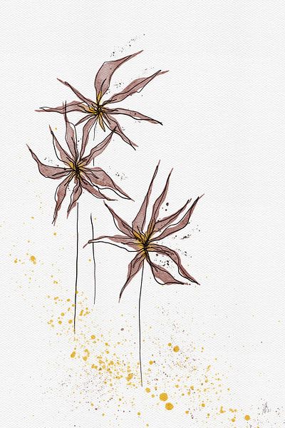 Unexpected Daisies by AnkieArt