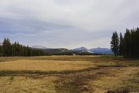 Yosemite