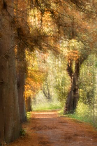 Herfst in het Park