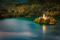 Bled, Slovenië van Konstantinos Lagos thumbnail