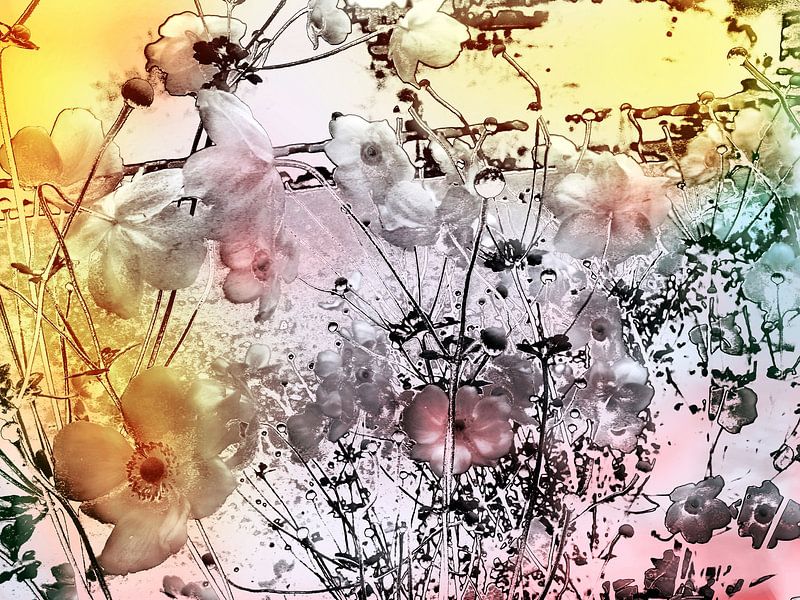 anemone by fantasina